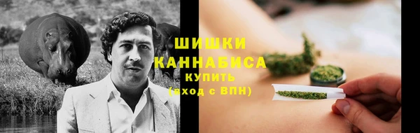 молекула духа Михайловка