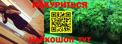PSILOCYBIN Ирбит
