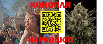 индика Ипатово