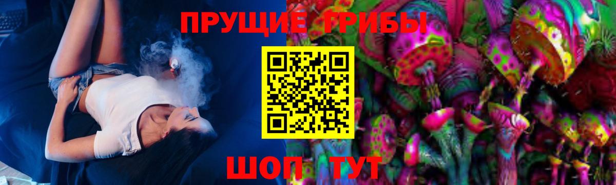 Псилоцибиновые грибы Psilocybine cubensis  Вход с VPN  Светлоград  Галлюциногенные грибы ЛСД 